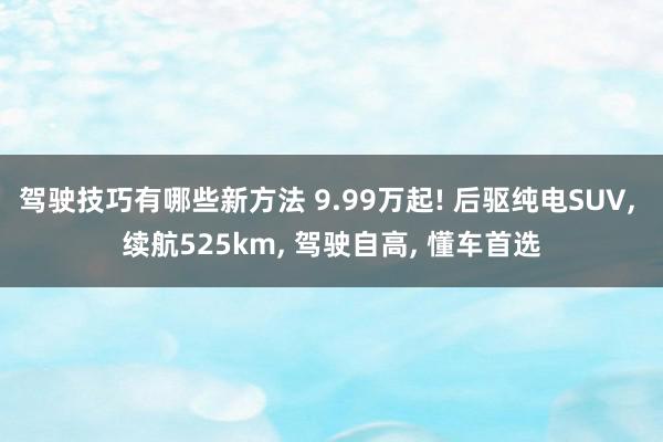 驾驶技巧有哪些新方法 9.99万起! 后驱纯电SUV, 续航525km, 驾驶自高, 懂车首选