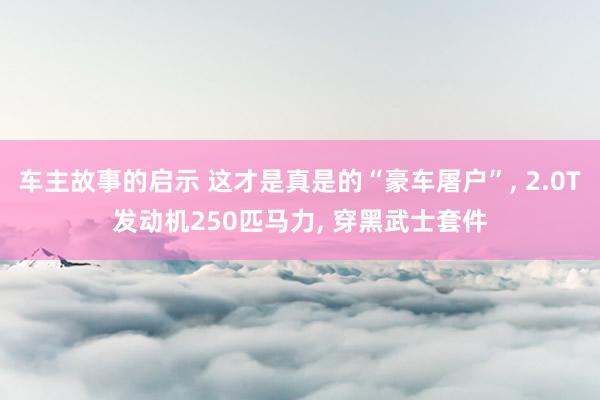 车主故事的启示 这才是真是的“豪车屠户”, 2.0T发动机250匹马力, 穿黑武士套件