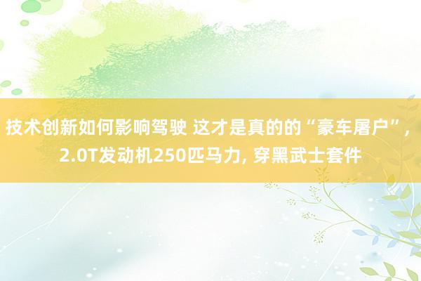 技术创新如何影响驾驶 这才是真的的“豪车屠户”, 2.0T发动机250匹马力, 穿黑武士套件