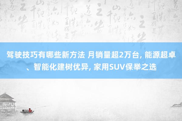 驾驶技巧有哪些新方法 月销量超2万台, 能源超卓、智能化建树优异, 家用SUV保举之选