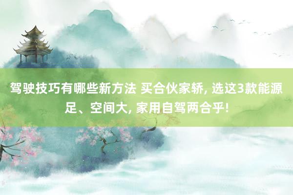 驾驶技巧有哪些新方法 买合伙家轿, 选这3款能源足、空间大, 家用自驾两合乎!