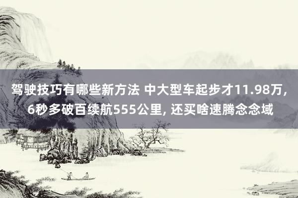 驾驶技巧有哪些新方法 中大型车起步才11.98万, 6秒多破百续航555公里, 还买啥速腾念念域