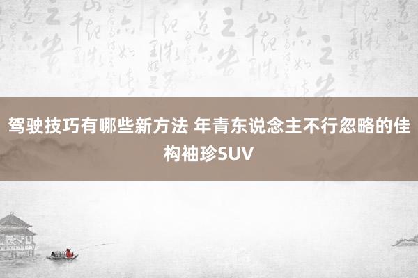 驾驶技巧有哪些新方法 年青东说念主不行忽略的佳构袖珍SUV