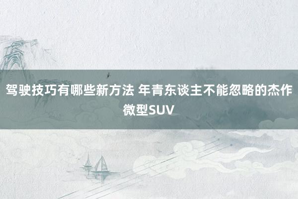 驾驶技巧有哪些新方法 年青东谈主不能忽略的杰作微型SUV