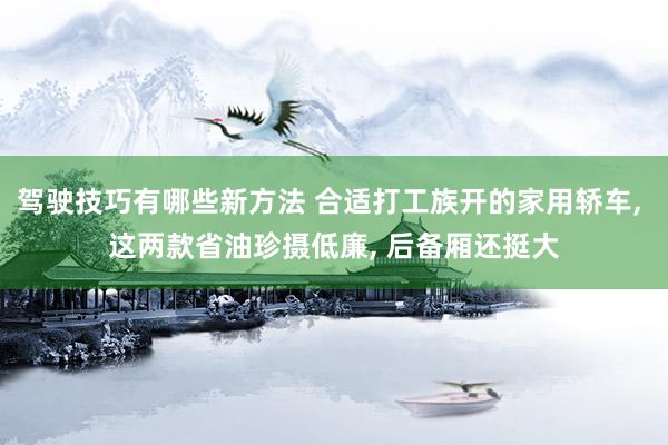 驾驶技巧有哪些新方法 合适打工族开的家用轿车, 这两款省油珍摄低廉, 后备厢还挺大