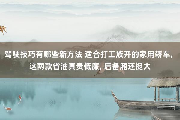 驾驶技巧有哪些新方法 适合打工族开的家用轿车, 这两款省油真贵低廉, 后备厢还挺大