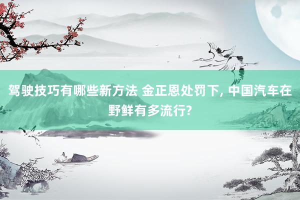 驾驶技巧有哪些新方法 金正恩处罚下, 中国汽车在野鲜有多流行?