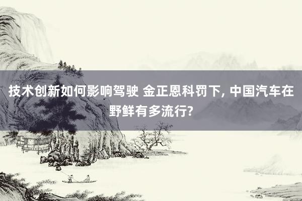 技术创新如何影响驾驶 金正恩科罚下, 中国汽车在野鲜有多流行?