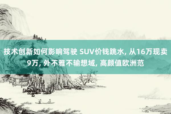 技术创新如何影响驾驶 SUV价钱跳水, 从16万现卖9万, 外不雅不输想域, 高颜值欧洲范