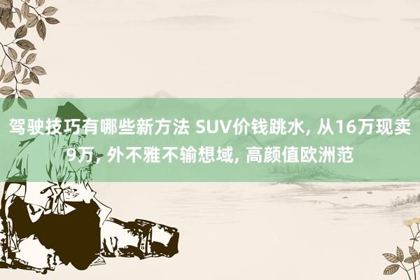 驾驶技巧有哪些新方法 SUV价钱跳水, 从16万现卖9万, 外不雅不输想域, 高颜值欧洲范