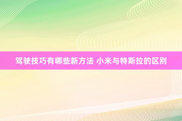 驾驶技巧有哪些新方法 小米与特斯拉的区别