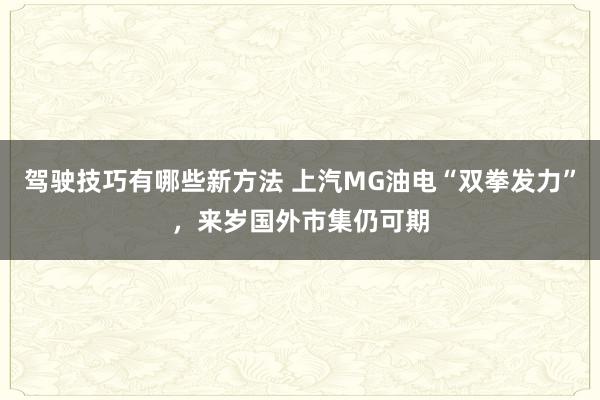 驾驶技巧有哪些新方法 上汽MG油电“双拳发力”，来岁国外市集仍可期