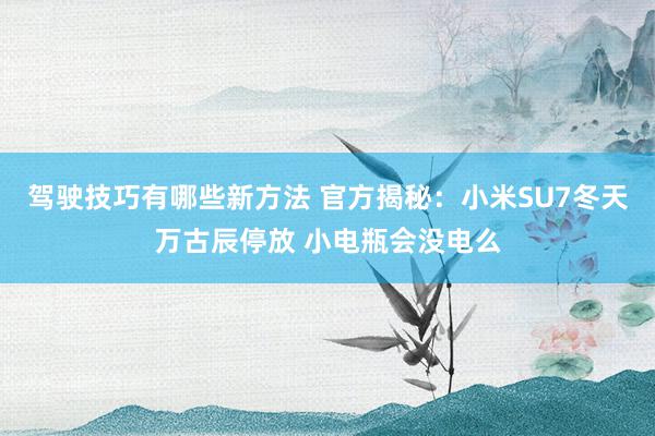 驾驶技巧有哪些新方法 官方揭秘：小米SU7冬天万古辰停放 小电瓶会没电么