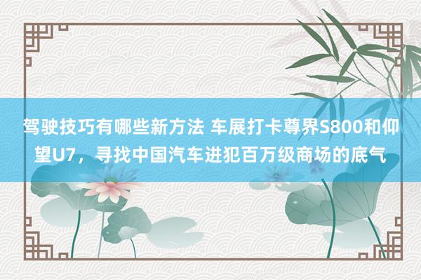 驾驶技巧有哪些新方法 车展打卡尊界S800和仰望U7，寻找中国汽车进犯百万级商场的底气