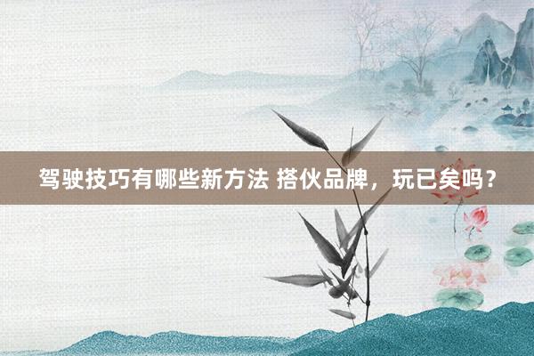 驾驶技巧有哪些新方法 搭伙品牌，玩已矣吗？