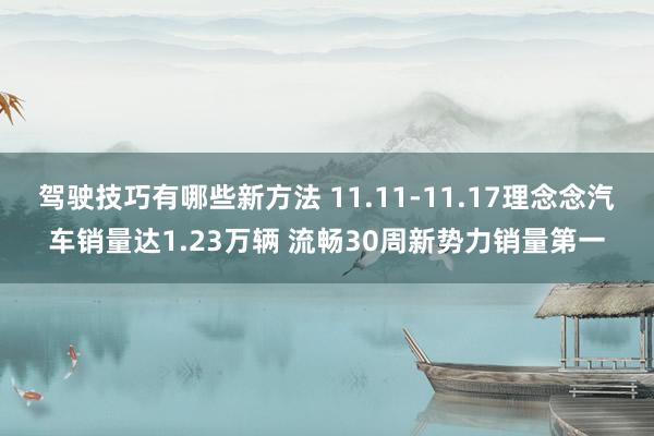 驾驶技巧有哪些新方法 11.11-11.17理念念汽车销量达1.23万辆 流畅30周新势力销量第一