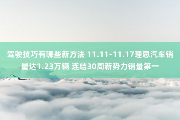 驾驶技巧有哪些新方法 11.11-11.17理思汽车销量达1.23万辆 连结30周新势力销量第一