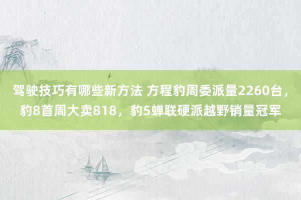 驾驶技巧有哪些新方法 方程豹周委派量2260台，豹8首周大卖818，豹5蝉联硬派越野销量冠军